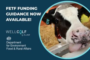FETF Funding Guidance now available