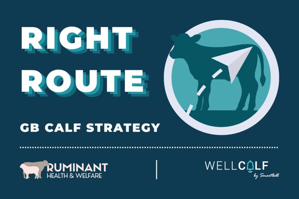 GB Calf Strategy's Right Route objective aligns with WellCalf's record keeping and reporting tools