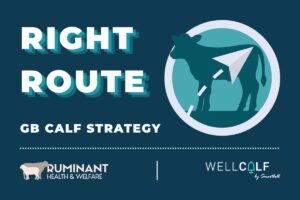 GB Calf Strategy's Right Route objective aligns with WellCalf's record keeping and reporting tools