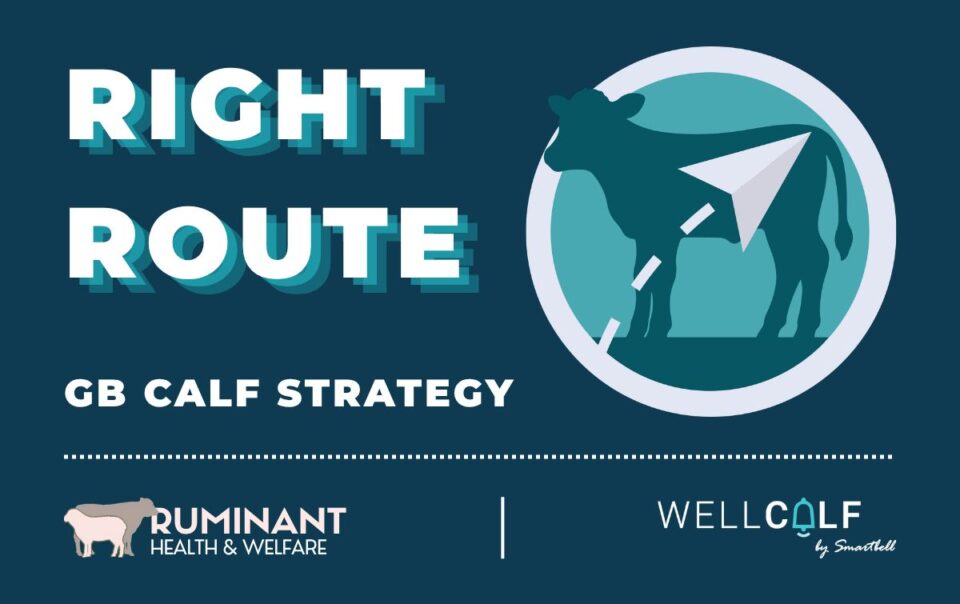 GB Calf Strategy's Right Route objective aligns with WellCalf's record keeping and reporting tools